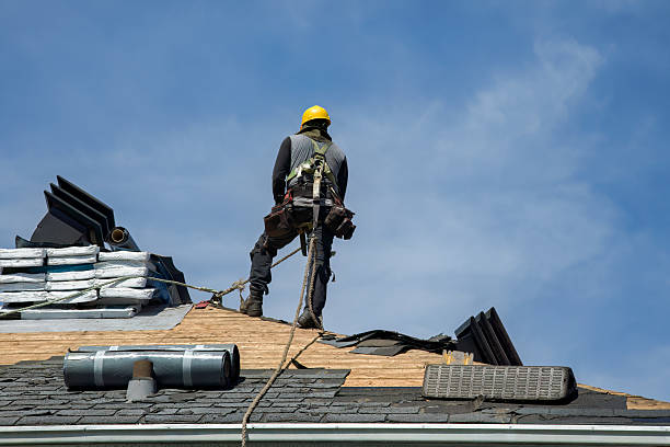 Professional Storm Damage Roof Repair technician working in Bronson, FL